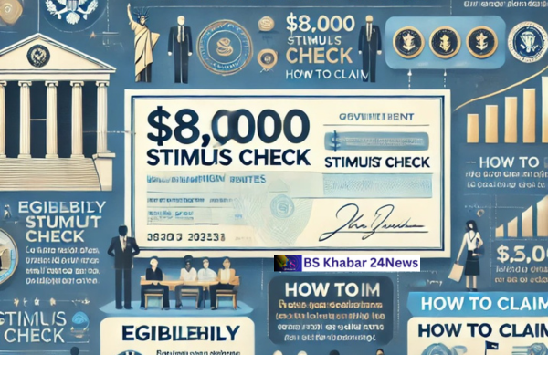 $8,000 Stimulus Check in 2025