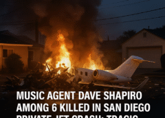 Music Agent Dave Shapiro plane crash, Among 6 Killed in San Diego Private Jet Crash