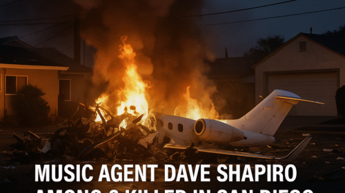 Music Agent Dave Shapiro plane crash, Among 6 Killed in San Diego Private Jet Crash